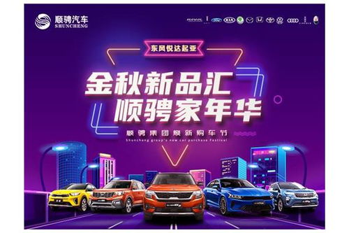 顺骋起亚中心路店 易车