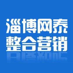 淄博网泰科技 图 博山外贸营销价格 博山外贸营销